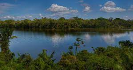 Río y vegetación - Valoración Económica Ambiental