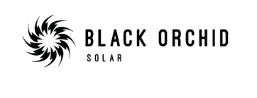 Black Orchid